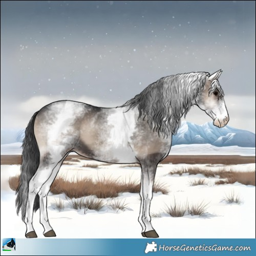 Horse Color:White Spotted Blue Onyx Sabino 