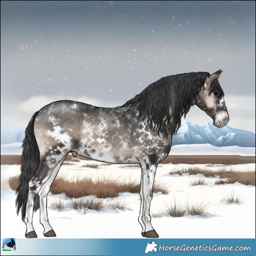 Horse Color:Blue Onyx Mushroom Sabino Rabicano 