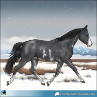 Horse Color:Black Sabino