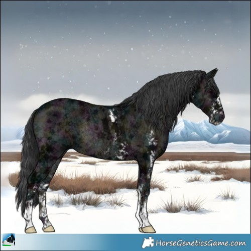 Horse Color:Midnight Blue Onyx Ice Sabino Rabicano 
