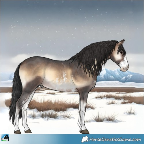 Horse Color:Brown Onyx Sabino Rabicano 