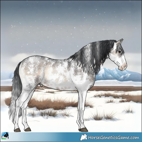 Horse Color:Brown Onyx Sabino 