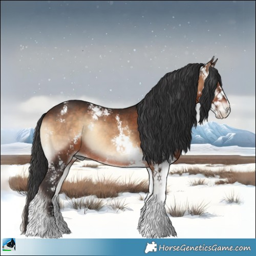 Horse Color:Bay Onyx Sabino Rabicano 
