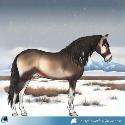 Horse Color:Brown Onyx 