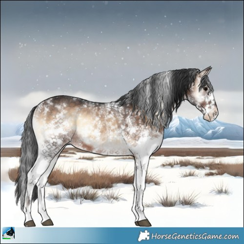Horse Color:Bay Onyx Sabino 