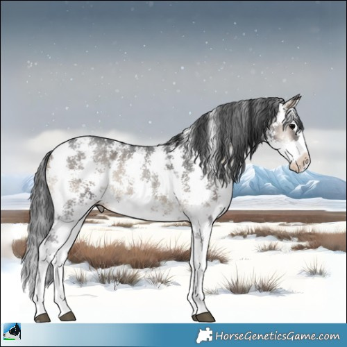 Horse Color:Blue Onyx Sabino Splash Rabicano 