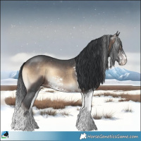 Horse Color:White Spotted Brown Onyx Sabino
