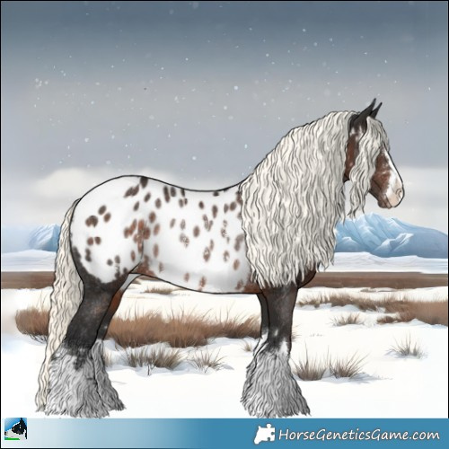 Horse Color:Liver Chestnut Mushroom Appaloosa Rabicano 