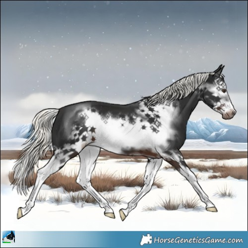 Horse Color:Liver Chestnut Mushroom Splash Frame 