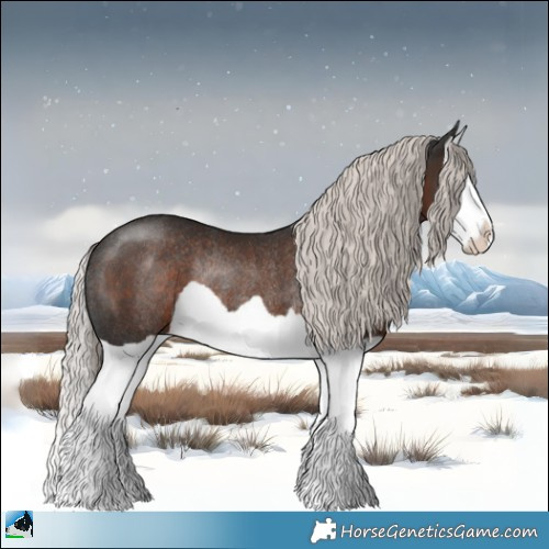 Horse Color:Liver Chestnut Mushroom Splash Rabicano 