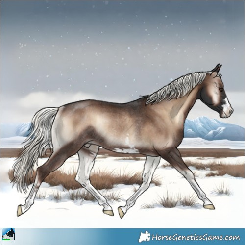 Horse Color:Liver Red Onyx Mushroom Rabicano 