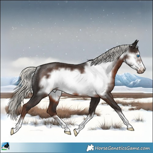 Horse Color:Liver Chestnut Mushroom Frame Rabicano 