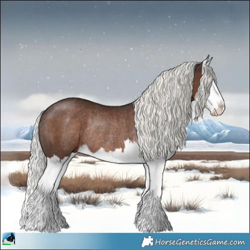 Horse Color:Liver Chestnut Mushroom Splash Rabicano 