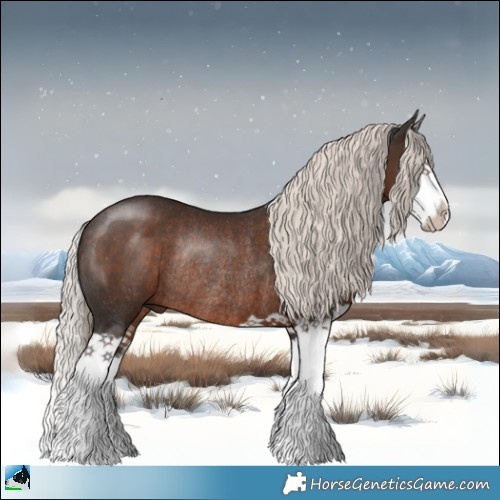 Horse Color:Liver Chestnut Mushroom Splash Rabicano 