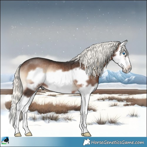 Horse Color:Liver Red Onyx Mushroom Splash Frame Rabicano 