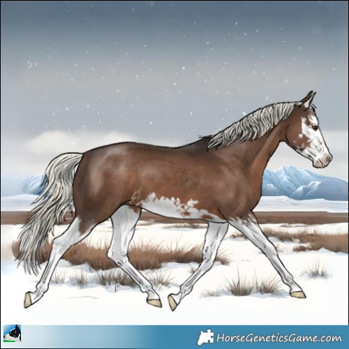 Horse Color:Liver Chestnut Mushroom Splash 