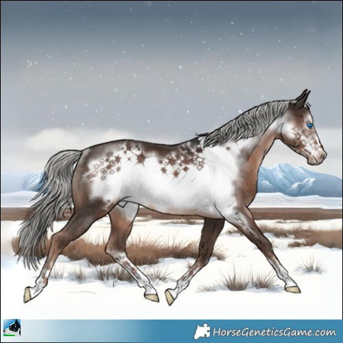 Horse Color:Liver Chestnut Mushroom Frame Rabicano 