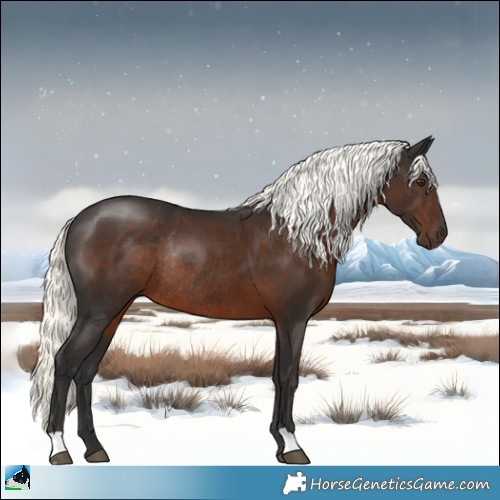 Horse Color:Liver Chestnut Mushroom Rabicano 