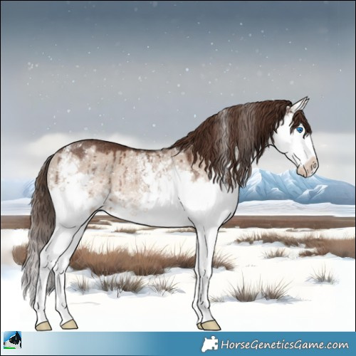 Horse Color:Liver Red Dun Sabino Splash Rabicano Brindle 