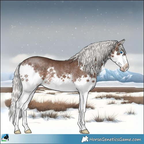 Horse Color:Liver Chestnut Mushroom Splash Rabicano 