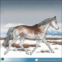 Horse Color:Liver Red Onyx Mushroom Splash 