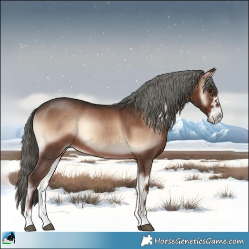 Horse Color:Liver Red Onyx Mushroom Sabino Rabicano 