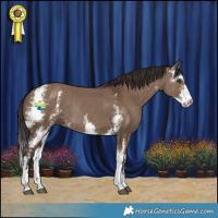 Horse Color:Liver Red Dun Sabino Rabicano