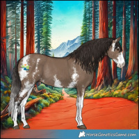 Horse Color:Liver Red Dun Sabino Rabicano 