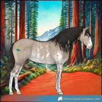 Horse Color:Liver Red Dun Sabino Rabicano