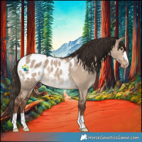 Horse Color:Liver Red Dun Appaloosa Rabicano 