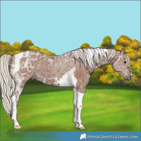 Horse Color:Silver Black Ice Tobiano 
