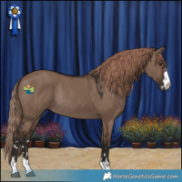 Horse Color:Liver Red Dun Rabicano 