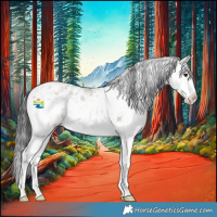 Horse Color:White Spotted Brown Dun Sabino 