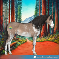 Horse Color:White Spotted Liver Red Dun