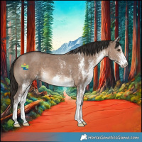 Horse Color:White Spotted Liver Red Dun 