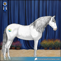 Horse Color:Brown Dun Sabino 