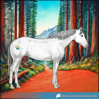 Horse Color:White Spotted Liver Red Dun Sabino Appaloosa 