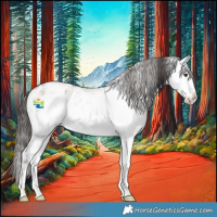 Horse Color:White Spotted Liver Red Dun Sabino Appaloosa 