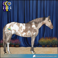 Horse Color:Brown Dun Sabino Appaloosa  and Liver Red Dun Appaloosa 