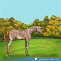Horse Color:Painted Chestnut Ice 
