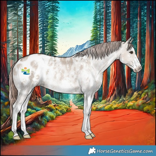 Horse Color:Liver Red Dun Sabino Appaloosa Rabicano 