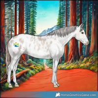 Horse Color:Liver Red Dun Sabino Appaloosa Rabicano