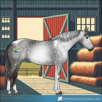 Horse Color:Gray Black Tobiano 