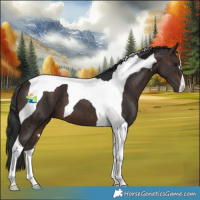 Horse Color:Brown Tobiano 