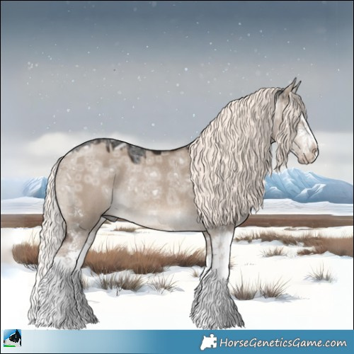 Horse Color:Liver Red Dun Ice Mushroom Sabino Splash Rabicano 