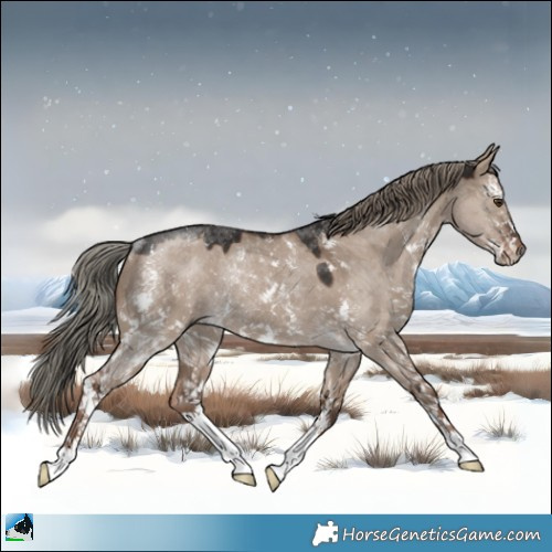 Horse Color:Liver Red Dun Mushroom Sabino Rabicano 