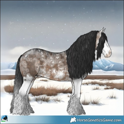 Horse Color:Brown Ice Dun Sabino Splash 