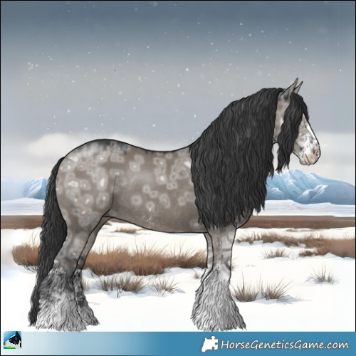 Horse Color:Grullo Ice Mushroom Sabino Rabicano 