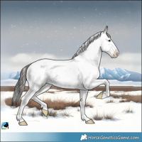Horse Color:Grullo Ice Onyx Mushroom Sabino 