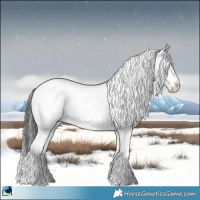 Horse Color:Grullo Ice Onyx Mushroom Sabino 